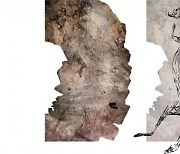 [화보] 1만7300년된 캥거루 암벽화