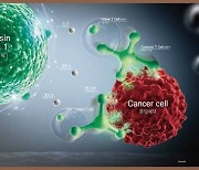 싸이모신 알파1, 듀얼 메커니즘 통한 암 환자 면역력 증강