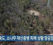 경북도, 소나무 재선충병 피해 상황 항공점검