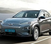 Hyundai Motor to recall Kona electric cars over fire risk