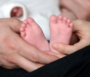 출산율 0.84명 '쇼크'.. 작년 인구 첫 자연감소