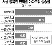 2030 "작아도 사자"..서울 외곽 소형 아파트값도 '껑충'