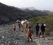 YEMEN CONFLICT ANIMALS TRANSFPORT PHOTO SET