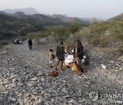 YEMEN CONFLICT ANIMALS TRANSPORT