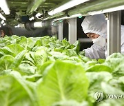 스마트팜 재배 작물 살펴보는 안철수