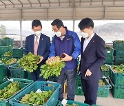 [경남농협] 농산물 유통현장 점검