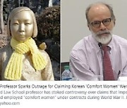 '역사왜곡' 위안부논문 파문에 한 마디도 못하는 정부