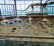 해남 우항리 공룡 화석지, 국가중요과학기술자료 등재