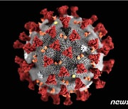 美보건전문가 "3월 영국발 코로나 변이 바이러스 대확산" 경고
