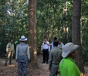 산림청, 캄보디아 씨엠립에 자연휴양림 조성..'생태관광' 기대