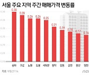 서울 아파트값 '숨 고르기'..사업 '기대감' 강남재건축 상승