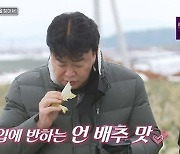 백종원 김희철 "언 배추 더 맛있다" 겨울 배추 맛에 감탄(맛남의광장)