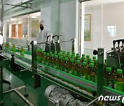 북한, '은정차' 공산품으로 생산..새 공장 준공