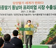 담양 신품종 딸기 '죽향' 동남아 프리미엄 시장 수출길 올라