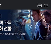 KT, 올레 tv·시즌 삼일절 영화 특집관 운영