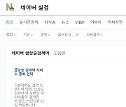 자취 감춘 네이버 실검..정보 소비자들 '우왕좌왕'