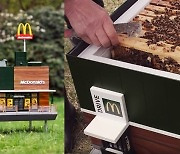 맥도날드 가는 꿀벌? 19禁 비닐봉지?.. 아이디어로 주목받았던 친환경 방식들[식탐]
