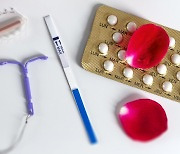 자궁근종 위치,크기별 적합한 치료법.. 피임약 효과는?