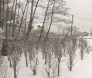 [날씨] 삼일절 전국 비·눈..영동 50cm↑폭설