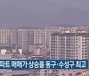 대구 아파트 매매가 상승률 동구·수성구 최고