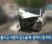대전 교통사고 사망자 감소율 특·광역시 중 하위