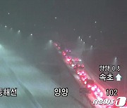 눈폭탄 맞은 강원 지역 '대설특보'..눈길 교통사고로 31명 다쳐