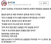 "일본 순사보다 더 잔혹무도한 삼일운동 주최자들" 윤서인, 3.1운동 비하