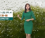 [날씨] 광주·전남 내일까지 많은 비..일부 80mm↑