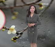 [굿모닝 날씨] 오늘 전국 많은 비..강원 영동 최고 50cm 폭설