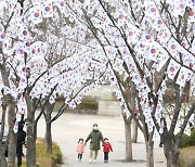 [포토] 3·1절 102주년.. 효창공원에 만개한 '태극기 꽃'