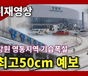 [영상]영동 3월 기습폭설..진부령 35cm '눈폭탄'