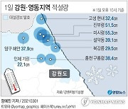 [그래픽] 1일 강원·영동지역 적설량