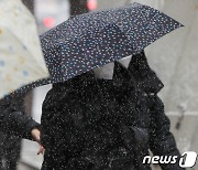 [오늘의 날씨]인천(2일, 화).."새벽까지 비, 기온 쌀쌀"