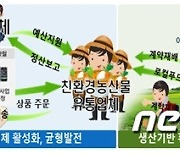 경기도, '임산부 친환경농산물 지원사업' 추진..18개시·군 3만여명 대상