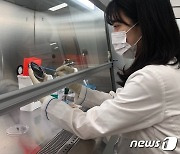 경기보환硏, 11월까지 '비브리오패혈증균 환경 감시사업' 추진