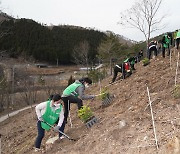 서부지방산림청, '2050 탄소 중립' 나무심기 본격 추진