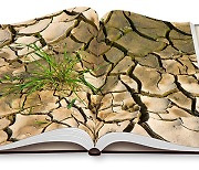 기후변화·환경문제 관심 커지면서 관련 도서 판매도 증가