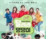 '달려라 댕댕이' 사람 7명+댕댕이 6마리 케미 폭발..공식 포스터 공개