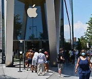 애플 주가 급등 '작년 10월 이후 최대'..버핏·전국 매장 오픈 효과