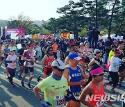 경주 벚꽃마라톤대회, 언택트 레이스로 개최..선착순 3000명