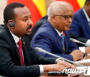 블링컨, 에티오피아 총리 향해 "티그레이 적대 행위 중단해야"