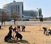 식수절 맞아 나무 심는 북한 만경대학생소년궁전