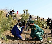 '식수절' 맞아 나무 심는 북한 신의주시 주민들