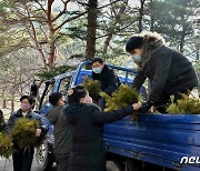 북한 "식수절 맞아 봄철 나무 심기 적극 다그쳐"