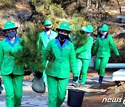 '식수절' 맞아 나무 심으러 가는 북한 주민들