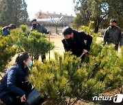 나무 심는 북한 "식수절 맞아 각지서 진행"