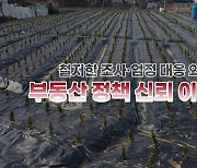 [영상] LH직원 100억 대 땅투기..국민 '부글부글'
