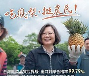 中에 맞선 대만 파인애플 먹기 운동 "4일만에 중국 1년 수출량 넘어"