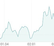 [강세 토픽] 비철금속 - 구리 테마, 이구산업 +20.27%, 대창 +8.59%