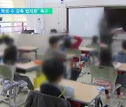 전교조 "교실당 초중고 20명·유치원 14명 법제화 추진"